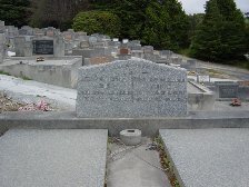 Full-size image