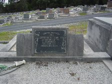Full-size image