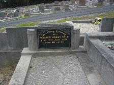 Full-size image