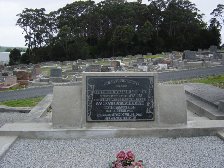 Full-size image