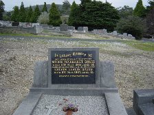 Full-size image