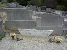 Full-size image