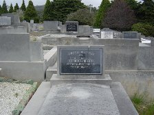 Full-size image