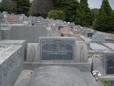 Full-size image