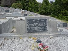 Full-size image