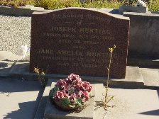 Full-size image