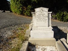 Full-size image