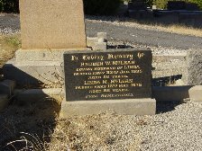 Full-size image
