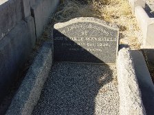 Full-size image