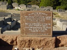 Full-size image