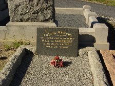 Full-size image