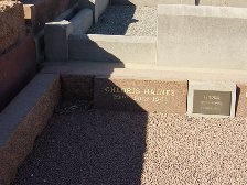 Full-size image
