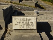 Full-size image