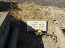 Full-size image