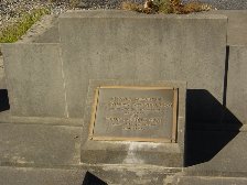 Full-size image