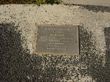 Full-size image