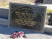 Full-size image