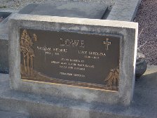 Full-size image