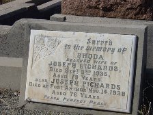 Full-size image