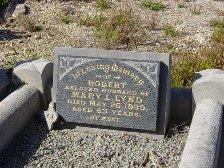 Full-size image