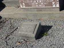 Full-size image