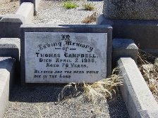 Full-size image