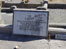 Full-size image