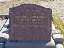 Full-size image