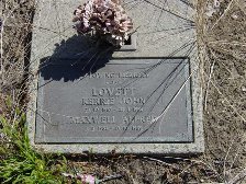 Full-size image