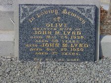 Full-size image