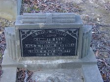 Full-size image