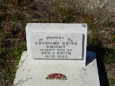Full-size image