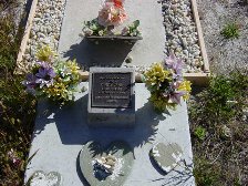 Full-size image