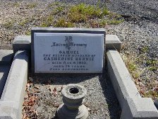 Full-size image