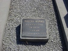 Full-size image