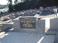 Full-size image