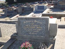 Full-size image