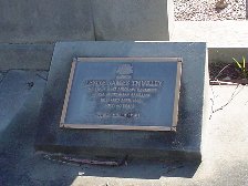 Full-size image