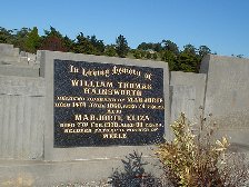 Full-size image