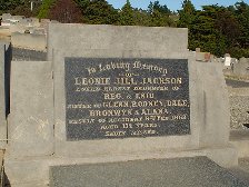 Full-size image
