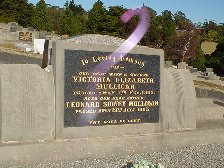 Full-size image