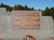 Full-size image