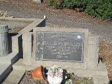 Full-size image