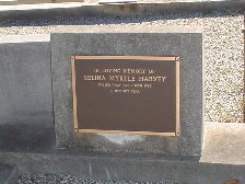 Full-size image