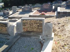 Full-size image