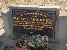 Full-size image