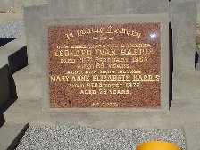 Full-size image