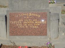 Full-size image