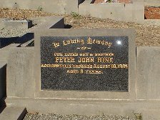 Full-size image