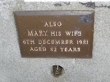 Full-size image